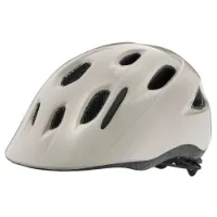 Giant Hoot Arx Helm