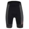 Giant Invictus Triathlon-shorts, Multicolor