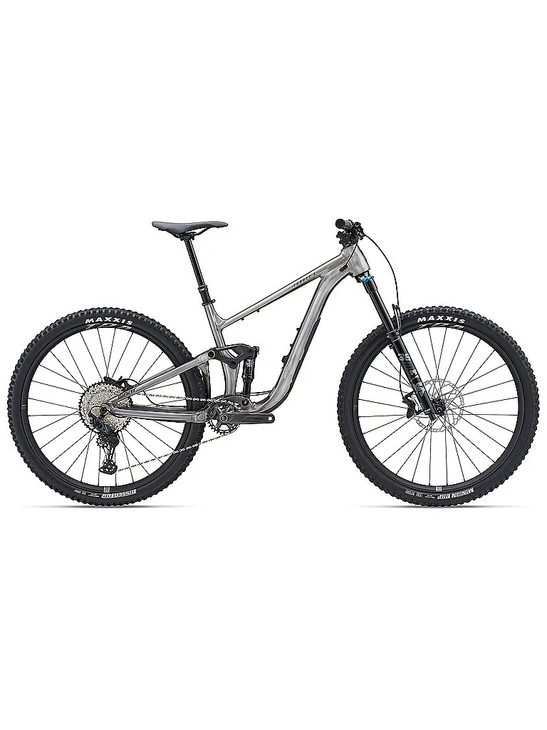 Giant Mountainbike Trance X 1 29, Silber, M