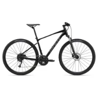 Giant Roam Disc 2 Alivio 2022 Fahrrad Giant Roam Disc 2 Alivio 2022 Fahrrad