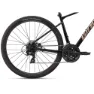Giant Roam Disc 4 Tourney 2022 Gravelbike, Noir