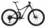 Giant Stance 1 Rosewood 29" Diamant