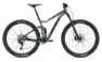 Giant Stance 2 Knight Shield 29" Diamant