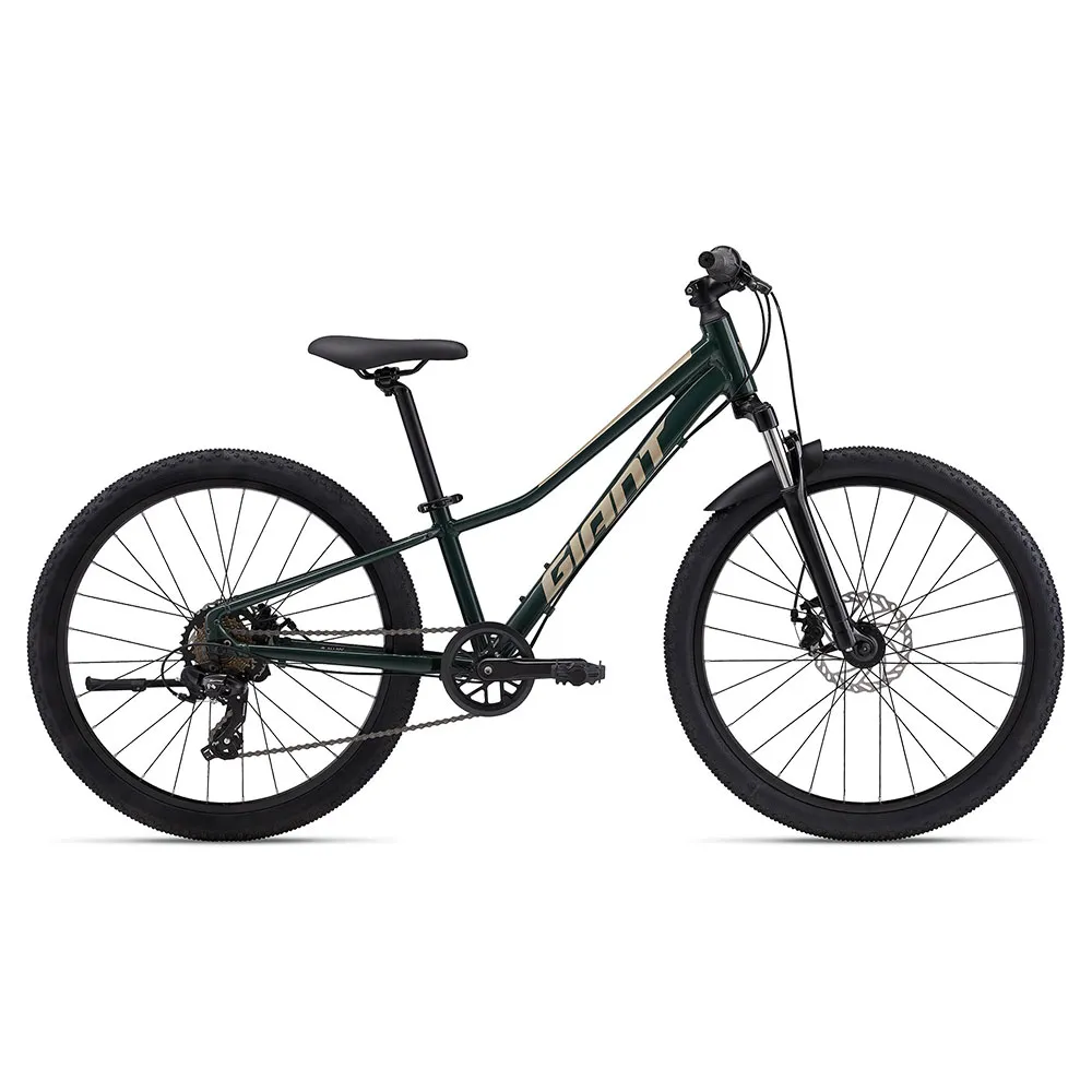 Giant Talon 24´´ Disc 2024 Fahrrad, Green, One Size Giant Talon 24´´ Disc 2024 Fahrrad, Green, One Size