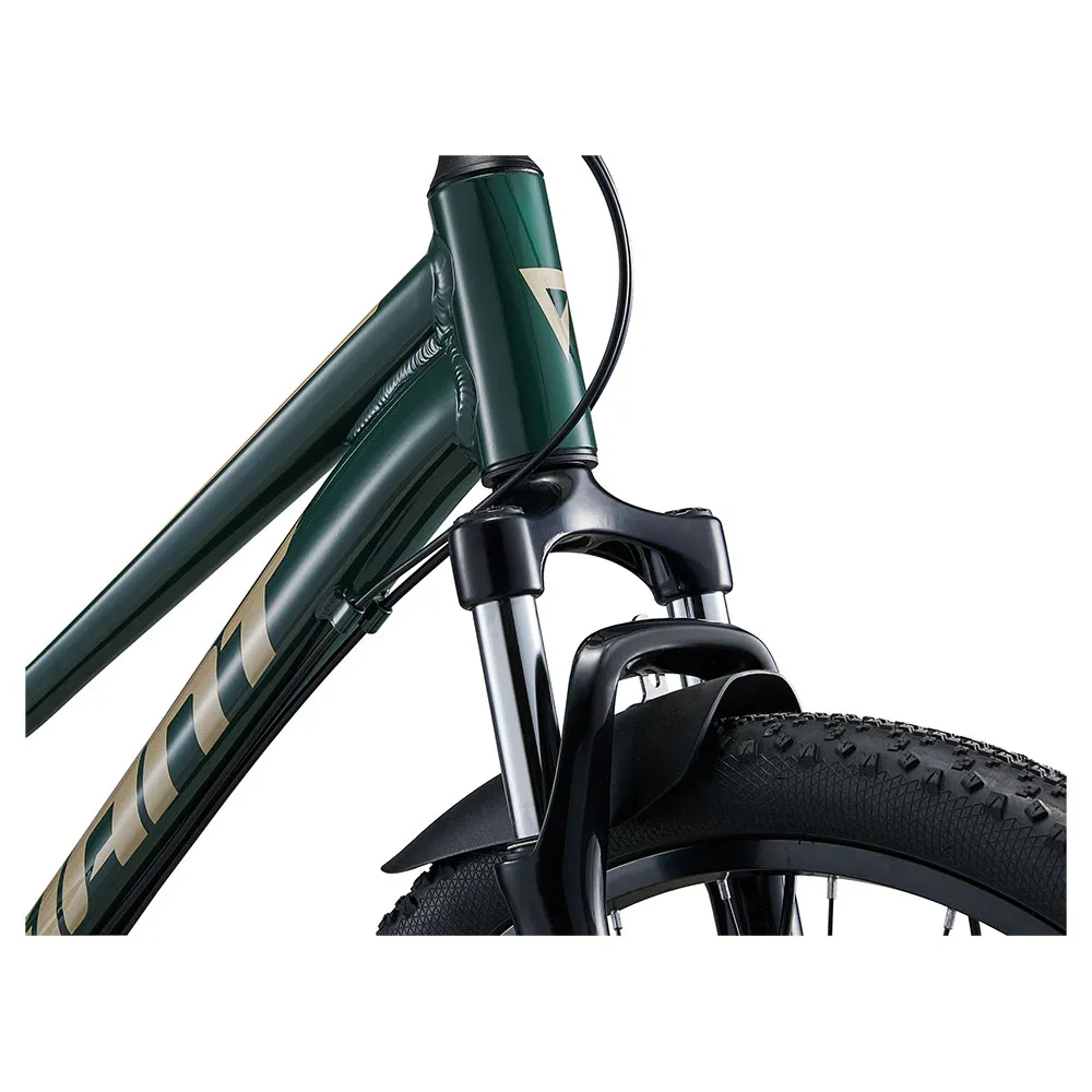Giant Talon 24´´ Disc 2024 Fahrrad, Green, One Size Giant Talon 24´´ Disc 2024 Fahrrad, Green, One Size