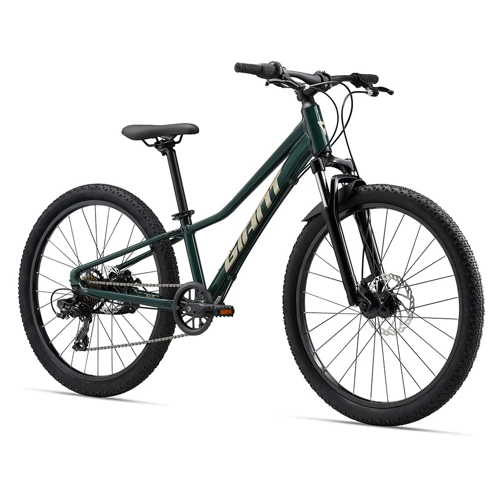Giant Talon 24´´ Disc 2024 Fahrrad, Green, One Size Giant Talon 24´´ Disc 2024 Fahrrad, Green, One Size