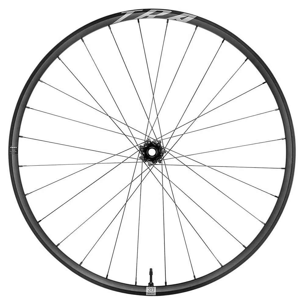 Giant Tra 29´´ Boost 6b Disc Tubeless Hookless Mtb Vorderrad, Black, 15 x 110mm Giant Tra 29´´ Boost 6b Disc Tubeless Hookless Mtb Vorderrad, Black, 15 x 110mm