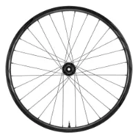 Giant Trx 2 Boost 29´´ Disc 6b Tubeless 2021 Mtb Vorderrad