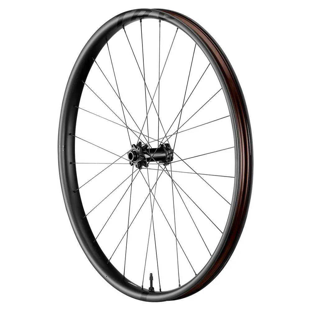 Giant Trx 29´´ Boost 6b Disc Tubeless Hookless Mtb Vorderrad, Black, 15 x 110mm Giant Trx 29´´ Boost 6b Disc Tubeless Hookless Mtb Vorderrad, Black, 15 x 110mm