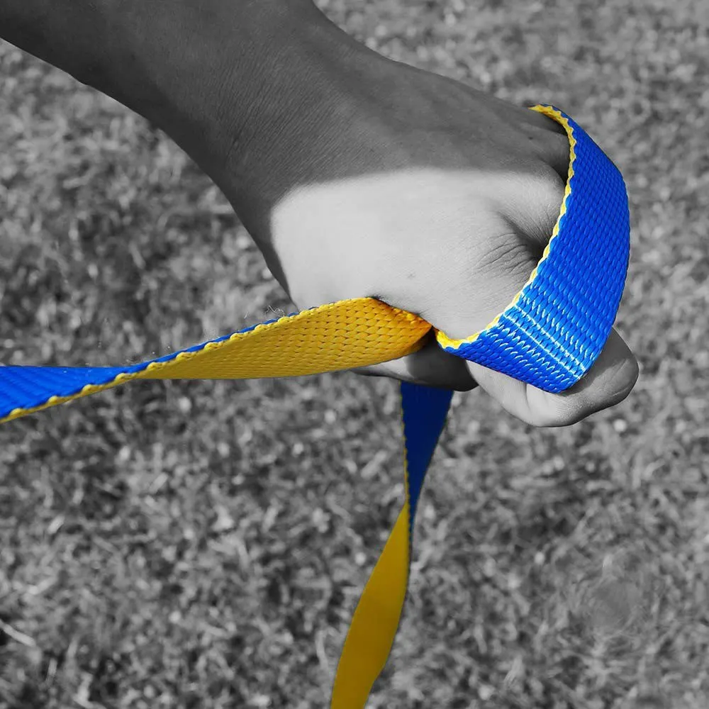 GIBBON Slacklines Flow Line Treewear Slackline, Blue, 25m