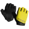 Yellow / black
