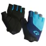 Blue / black