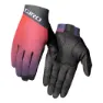 Pink / purple