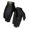 Black / lime