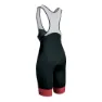 Gist Climber Trägerhose