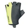 Yellow / black