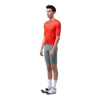 Gobik Stark S/S Trikot Gobik Stark S/S Trikot