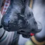 Gobik Velotoze Snaps Überschuhe