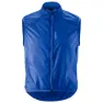 Indie blue 1