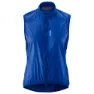 Indie blue 2