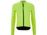 Neon yellow-citrus green