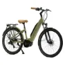 Granville E-absolute 34 Altus Elektrofahrrad