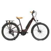 Granville E-absolute 34 Plus Altus Elektrofahrrad Granville E-absolute 34 Plus Altus Elektrofahrrad