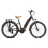 Granville E-absolute 34 Plus Altus Elektrofahrrad