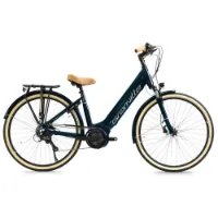 Granville E-integrated 30+ Wave Bosch Active Plus Elektrofahrrad Granville E-integrated 30+ Wave Bosch Active Plus Elektrofahrrad