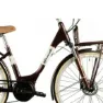 Granville E-summerside Bosch Active Plus Elektrofahrrad