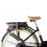 Granville E-summerside Bosch Active Plus Elektrofahrrad