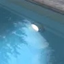 Gre Accessories Led-projektor Für Einbaupool unisex