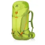 Gregory Alpinisto Rucksack 35l