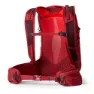 Gregory Maya 20 Plus Damenrucksack, Iris red