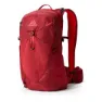 Gregory Maya 20 Plus Damenrucksack, Iris red