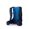 Gregory Miko 20 Plus Rucksack, Volt blue