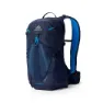 Gregory Miko 20 Plus Rucksack, Volt blue