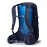 Gregory Miko 30l Rucksack