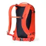 Gregory Verte 18l Rucksack, Apres orange