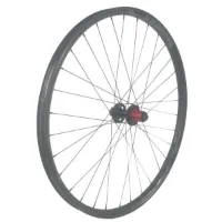 GTR Sl30 29´´ Cl Ratchet Disc Tubeless Mtb Hinterrad GTR Sl30 29´´ Cl Ratchet Disc Tubeless Mtb Hinterrad