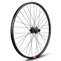 Gurpil Alpha 29´´ Disc Tubeless Hinterrad Gurpil Alpha 29´´ Disc Tubeless Hinterrad