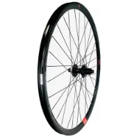 Gurpil Infinite 29´´ Cl Disc Mtb Hinterrad Gurpil Infinite 29´´ Cl Disc Mtb Hinterrad
