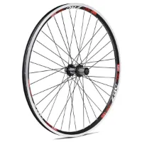 Gurpil Zac 26´´ Mtb Hinterrad
