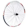 Gurpil Zac Inox 26´´ 7s Tubeless Mtb Hinterrad