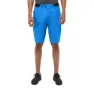 Electric blue 2