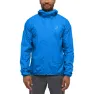 Electric blue 2
