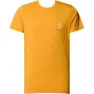 Clay yellow