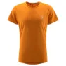 Desert yellow 1