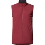 Carmine red
