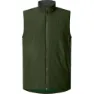 Seaweed green